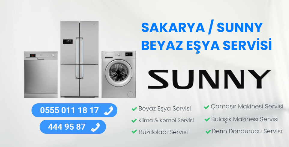 Sakarya Sunny Servisi